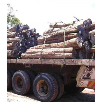 Ebène du Mozambique