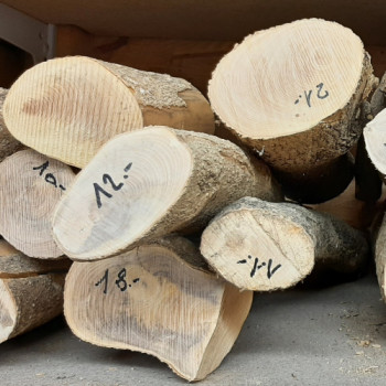 Buis env. 1.6 kg