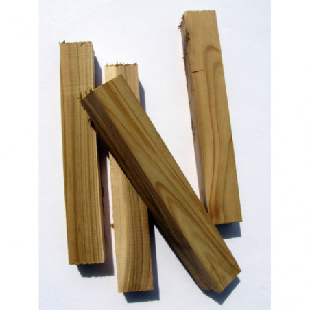 Thuja